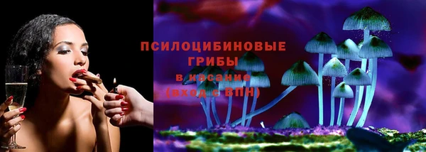прущие крисы Арсеньев