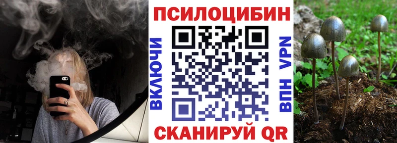 купить наркоту  Крым  Псилоцибиновые грибы GOLDEN TEACHER 